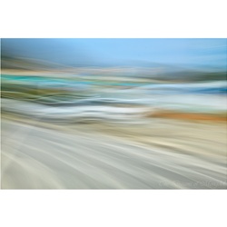 dailyPhoto13